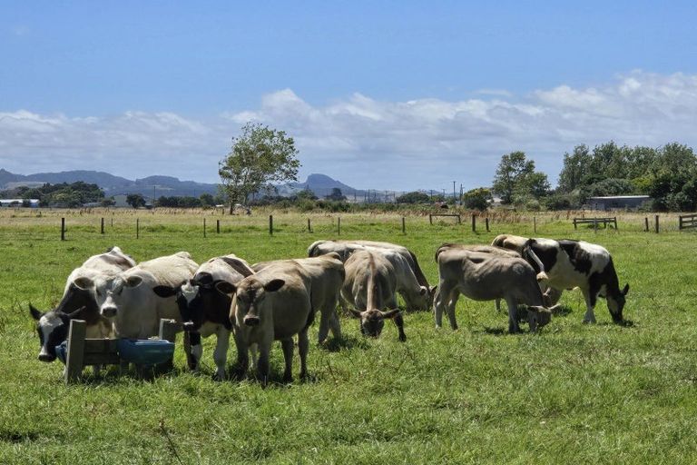 Photo of property in 63 Jellicoe Street, Ruawai, 0530