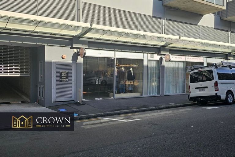 Photo of property in Trinity Apartments, 19 College Street, Te Aro, Wellington, 6011