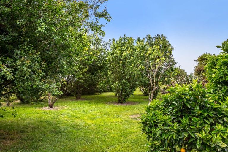 Photo of property in 75 Andersons Line, Clareville, Carterton, 5713