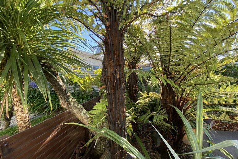 Photo of property in 3b North Street, Redwoodtown, Blenheim, 7201