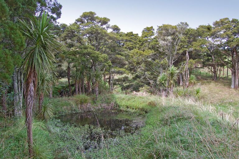 Photo of property in 280c Baldrock Road, Kaiwaka, Maungaturoto, 0587