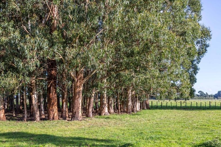 Photo of property in 19 Matahiwi Road, Matahiwi, Masterton, 5888