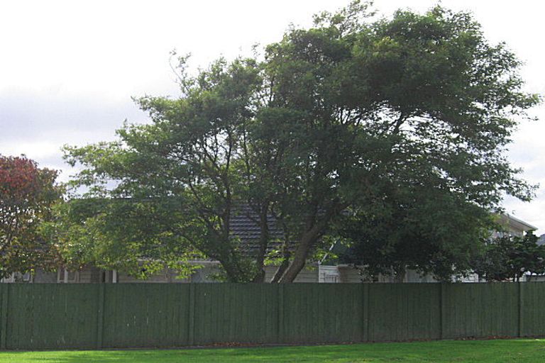 Photo of property in 2 Percy Cameron Street, Avalon, Lower Hutt, 5011