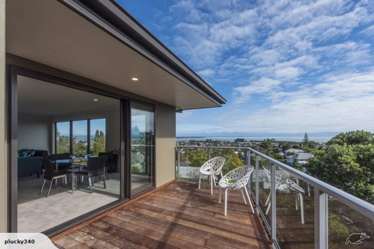 Photo of property in 19a Rangiora Terrace, Tahunanui, Nelson, 7011