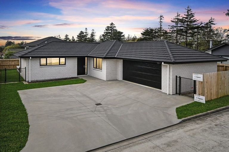 Photo of property in 20b Reidy Place, Pukekohe, 2120