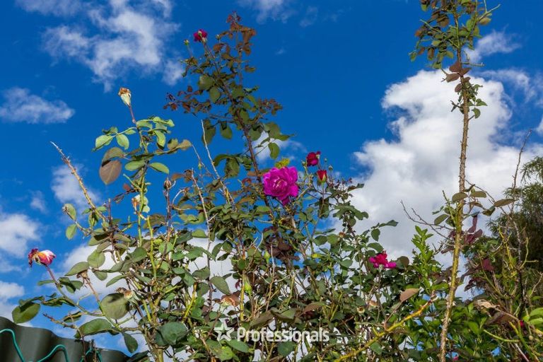 Photo of property in 19 Haylock Grove, Totara Park, Upper Hutt, 5018