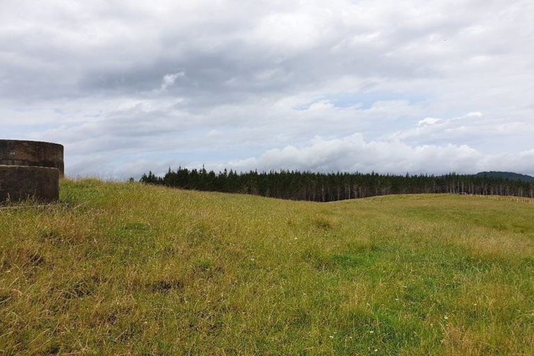 Photo of property in 127a Oruawharo Road, Topuni, Wellsford, 0975