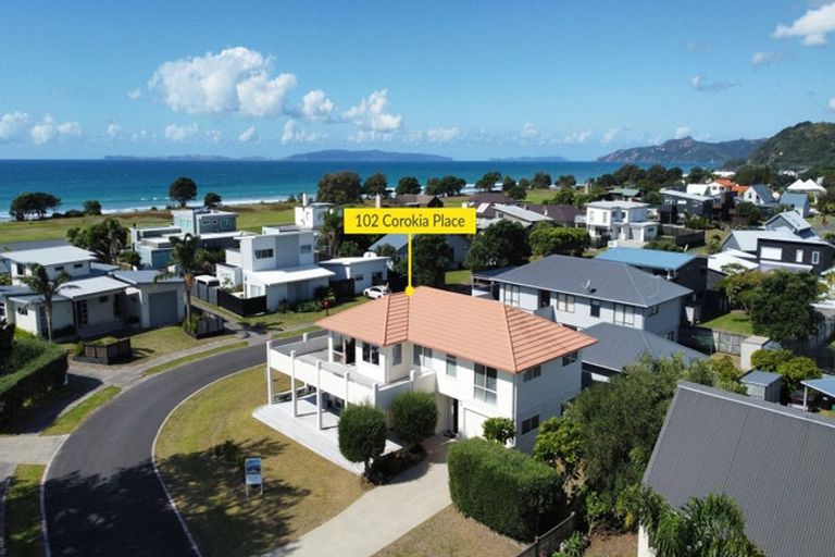 Photo of property in 102 Corokia Place, Matarangi, Whitianga, 3592