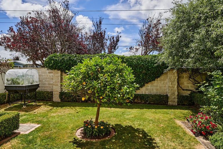 Photo of property in 5 Ngaio Street, Eastbourne, Lower Hutt, 5013