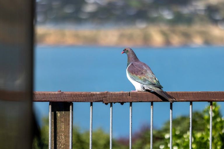 Photo of property in 23 Archdalls Road, Robinsons Bay, 7581