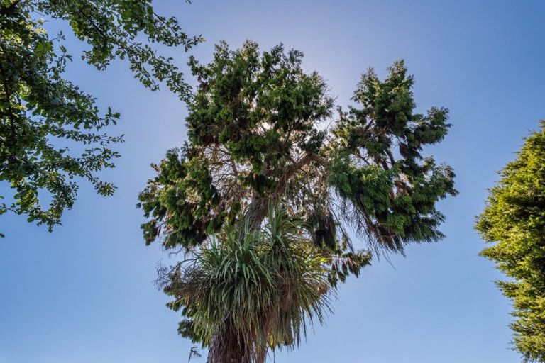 Photo of property in 27 Read Street, Levin, 5510