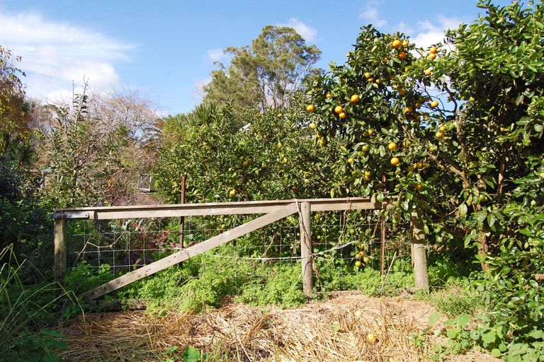 Photo of property in 1122 Oneriri Road, Kaiwaka, 0573