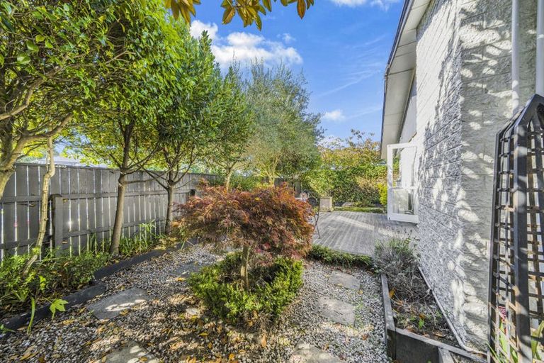 Photo of property in 41a Kotare Street, Fendalton, Christchurch, 8041