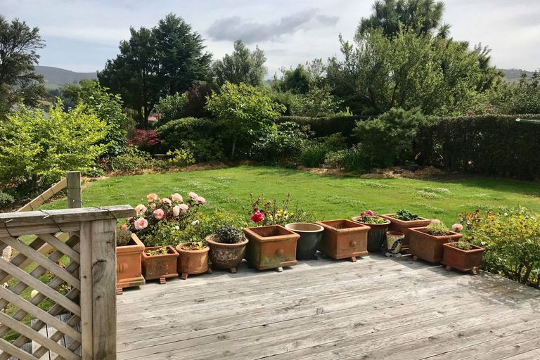 Photo of property in 73 Signal Hill Road, Opoho, Dunedin, 9010