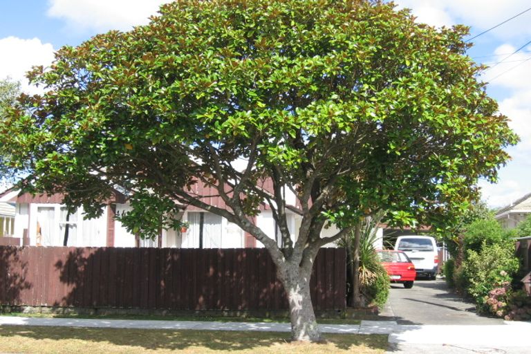 Photo of property in 29 Tararua Street, Trentham, Upper Hutt, 5018