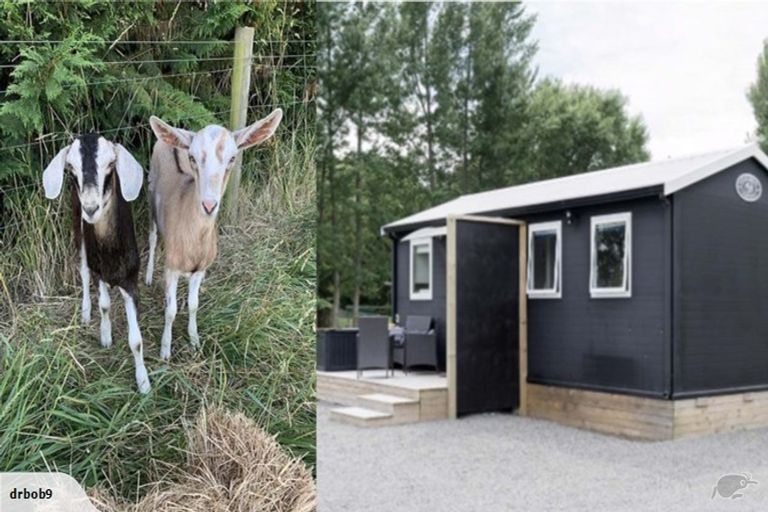 Photo of property in 340 Perymans Road, Lincoln, Christchurch, 7672