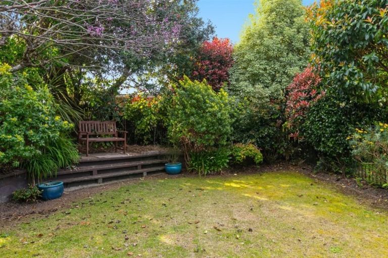 Photo of property in 41 Bethlehem Heights, Bethlehem, Tauranga, 3110