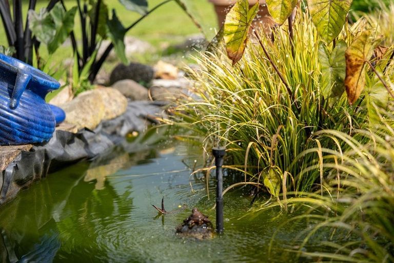 Photo of property in 17 Vogel Street, Cambridge, 3434