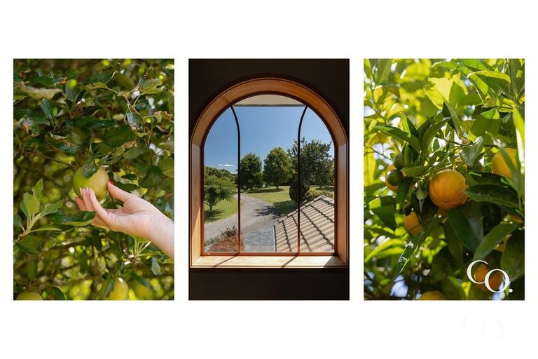 Photo of property in 39 Jacks Lane, Oropi, Tauranga, 3173