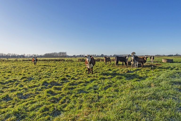 Photo of property in 12 Bramleys Road, Flaxton, Kaiapoi, 7691
