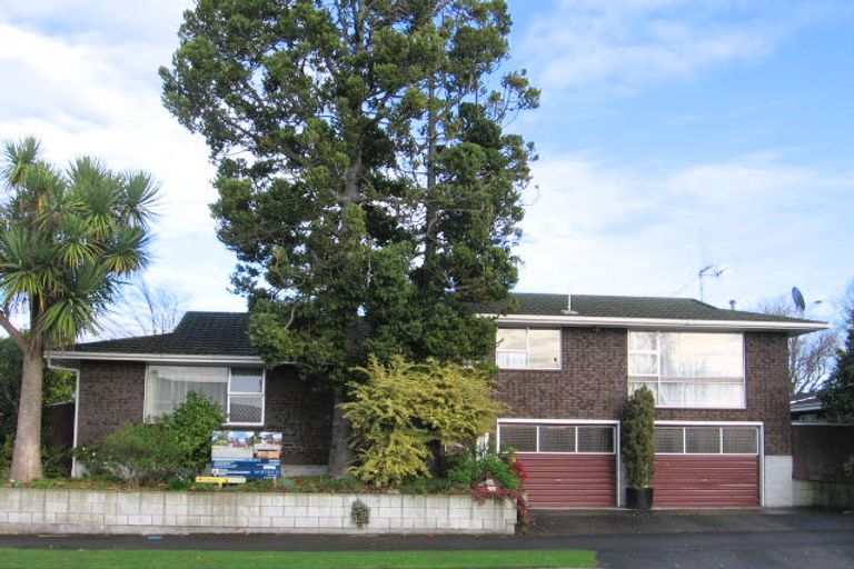 Photo of property in 200 Albert Street, Hokowhitu, Palmerston North, 4410