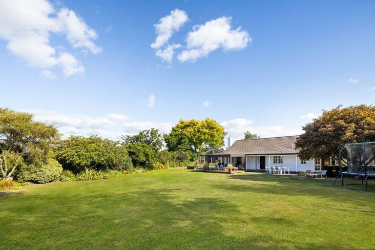 Photo of property in 16 Cowley Drive, Leamington, Cambridge, 3432