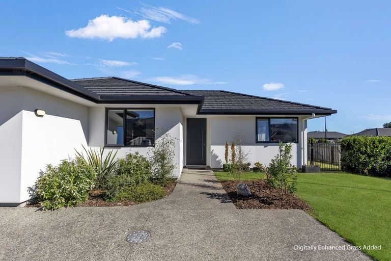 Photo of property in 2 Bedfont Street, 2 Bedfont Street, Richmond, 7020