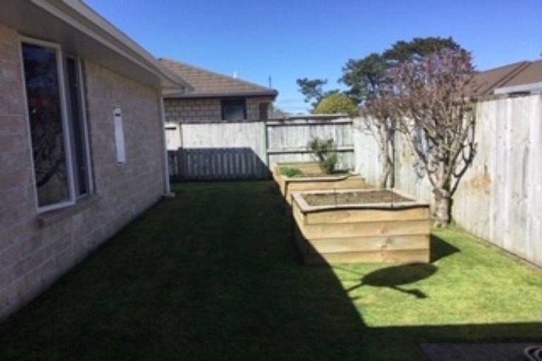 Photo of property in 65 Condor Drive, Pyes Pa, Tauranga, 3112