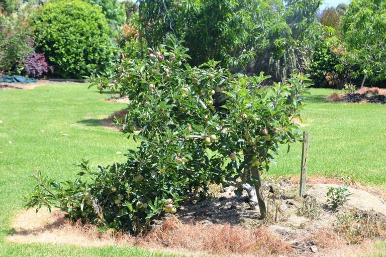 Photo of property in West Coast Road, Te Kopuru, 0371