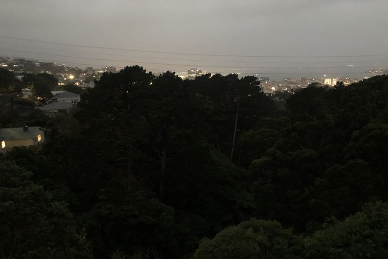 Photo of property in 61 Mortimer Terrace, Brooklyn, Wellington, 6021