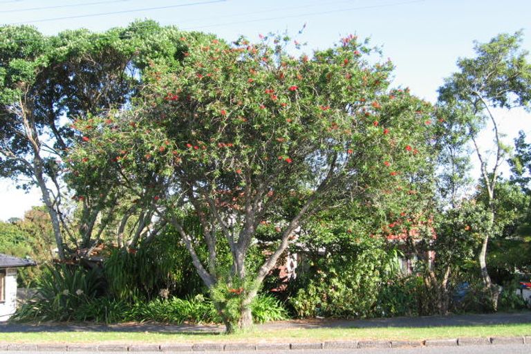 Photo of property in 23 Akehurst Avenue, New Lynn, Auckland, 0600