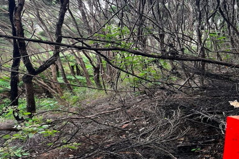 Photo of property in 25 Te Ahu Place, Karikari Peninsula, 0483