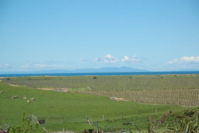 Photo of property in 299 Reserve Road, Seddon, 7285