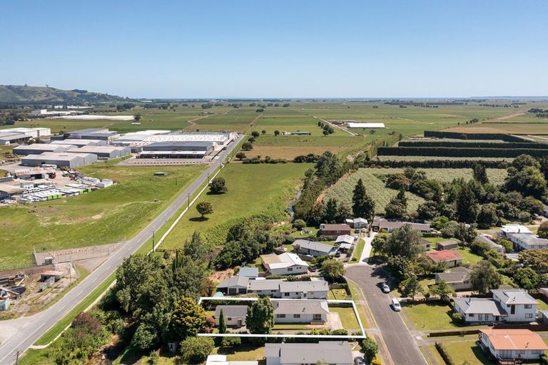 Photo of property in 8 Conifer Place, Te Puke, 3119