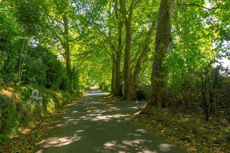 Photo of property in 9 Plane Tree Lane, Tauriko, Tauranga, 3110