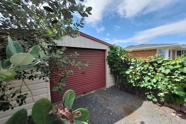 Photo of property in 29a Rata Street, Maeroa, Hamilton, 3200