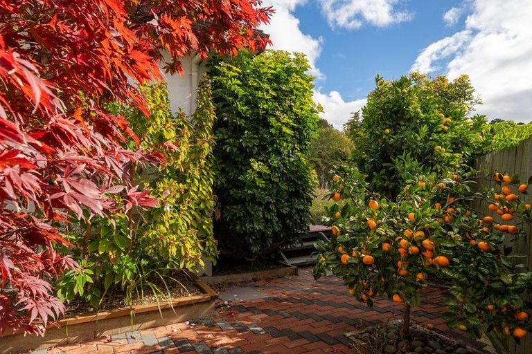 Photo of property in 19 Summerfield Lane, Albany, Auckland, 0632