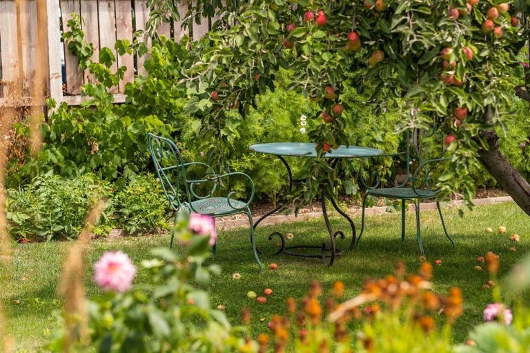 Photo of property in 3 Sligo Street, Cromwell, 9310