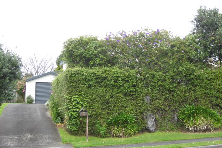Photo of property in 6 Honnor Place, Hurdon, New Plymouth, 4310