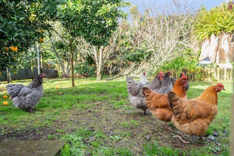 Photo of property in 88 Mill Road, Kensington, Whangarei, 0112