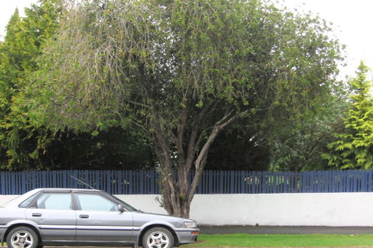 Photo of property in 47 Queens Avenue, Frankton, Hamilton, 3204