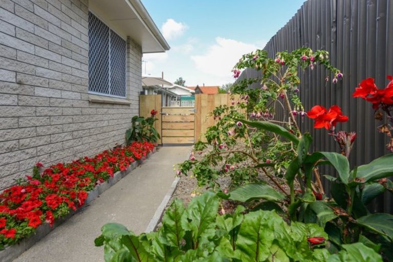 Photo of property in 2/301 Southland Road, Hastings, 4122