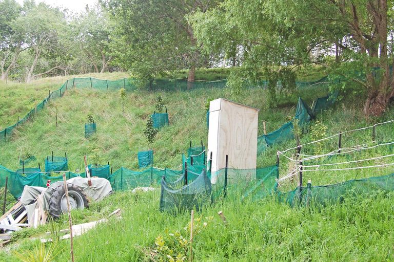 Photo of property in 319 Parekura Road, Kaiwaka, 0573