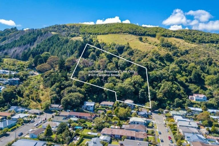 Photo of property in 101 Cambria Street, The Wood, Nelson, 7010