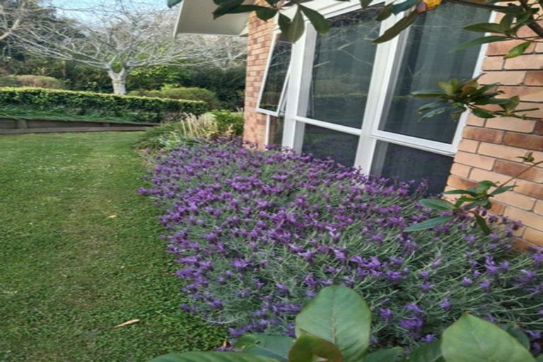 Photo of property in 11 Te Pahi River Drive, Paparoa, Maungaturoto, 0583