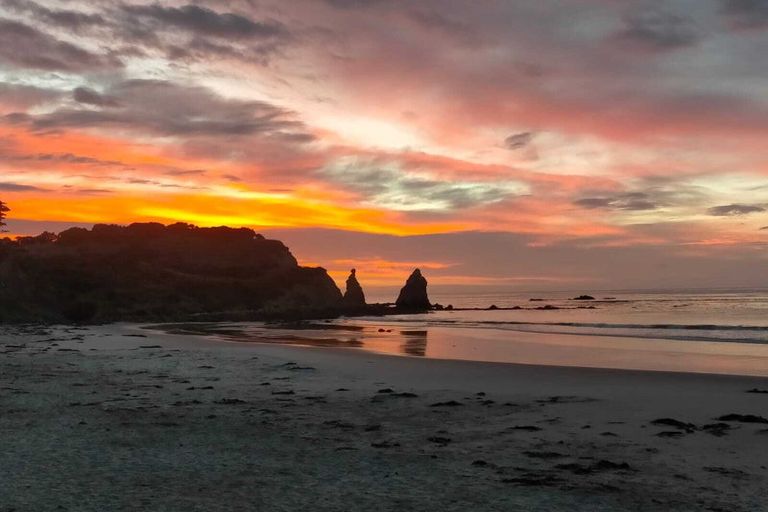 Photo of property in 1391 Coast Road, Karitane, Waikouaiti, 9471