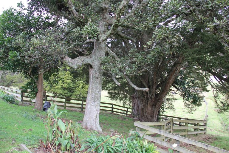 Photo of property in 262a Whau Valley Road, Whau Valley, Whangarei, 0112