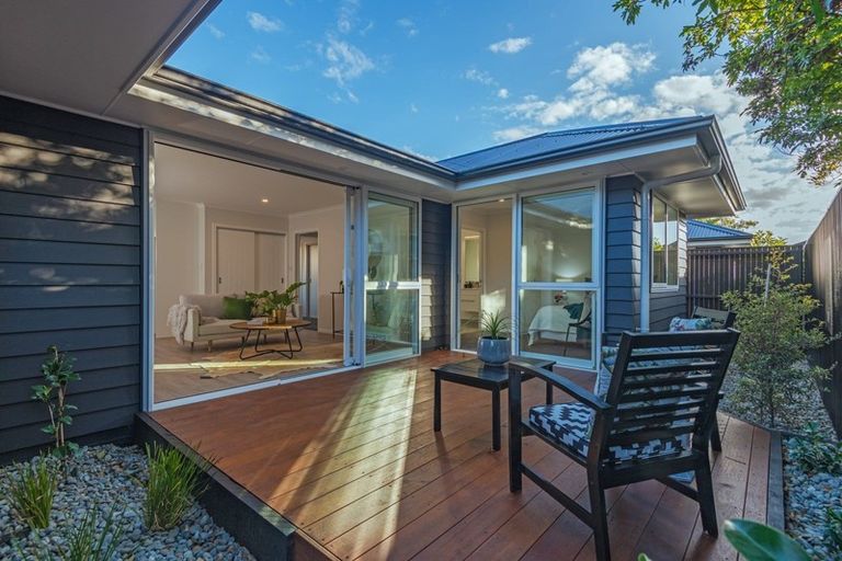 Photo of property in 17b Alfred Street, Roslyn, Palmerston North, 4414