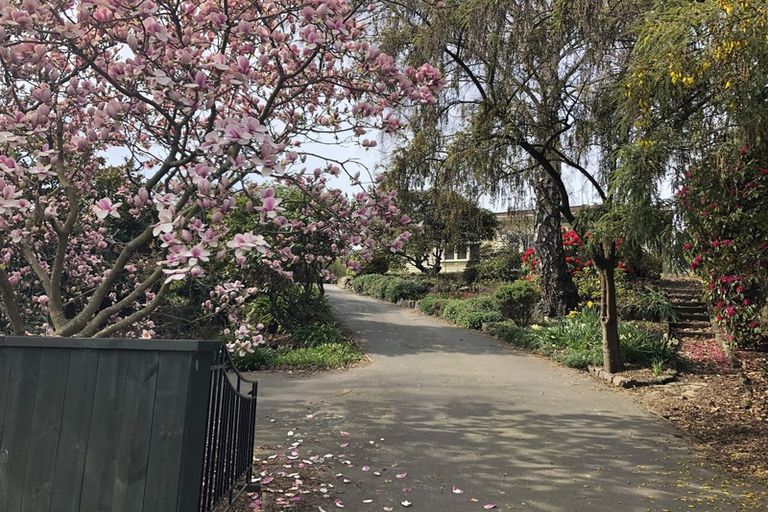 Photo of property in 90 Palatine Terrace, Saint Martins, Christchurch, 8022