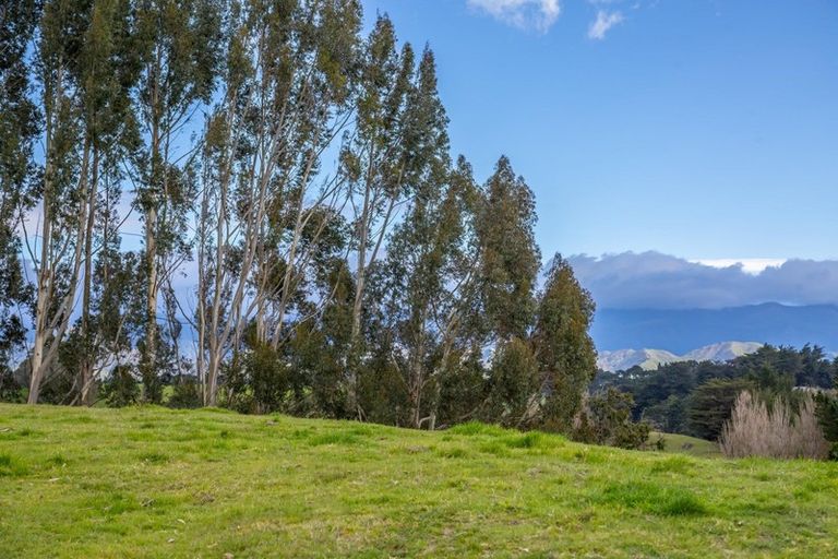 Photo of property in 48 Norsewood Ormondville Road, Norsewood, 4974